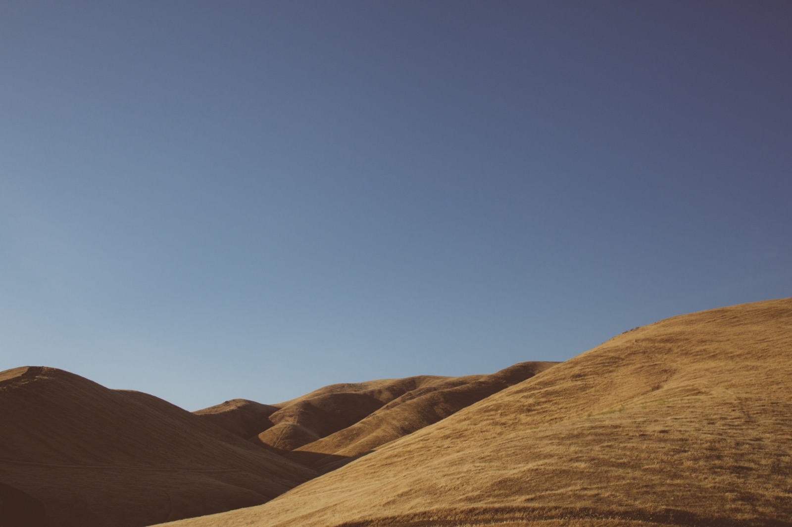 Prairie